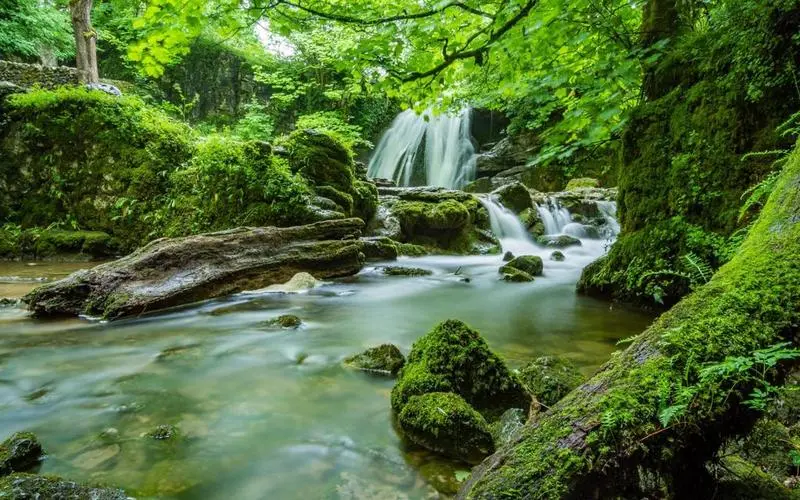 高标准智能系统精密